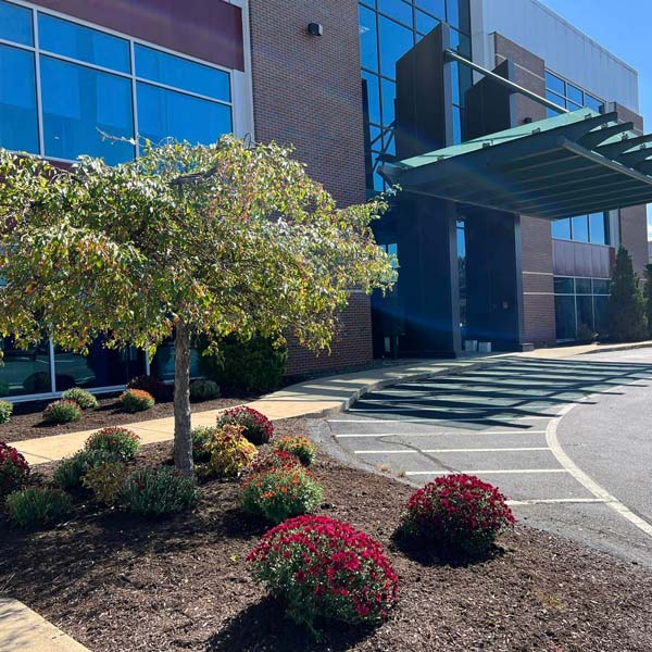 commercial gardening